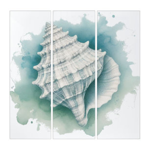 Coastal/Nautical seashell  Triptych