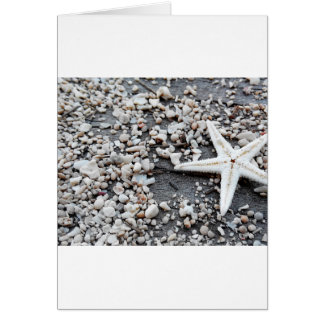 Coastal Nautical Starfish Shell Gray Beach Sand Cards