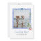 Coastal Noel | Elegant Coastal Christmas Photo