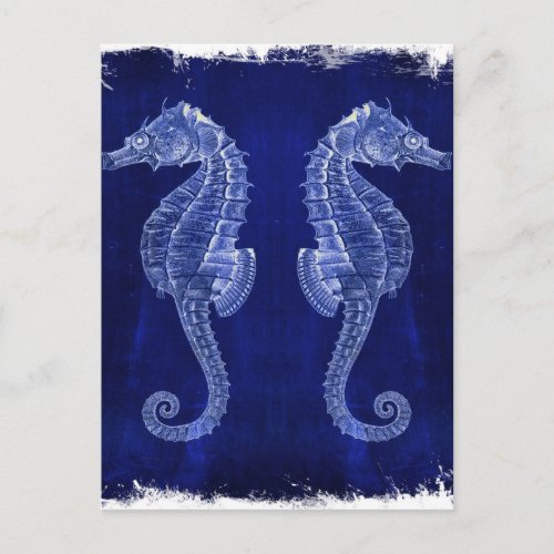 coastal ocean blue seahorses postcard