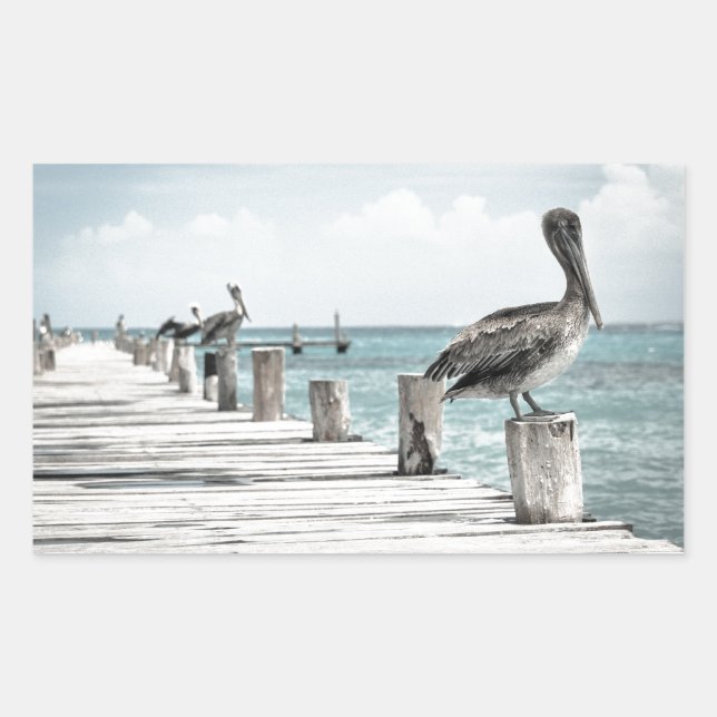 Coastal Ocean Pelican Rectangular Sticker (Front)