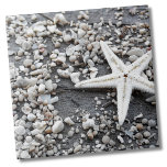 Coastal Ocean Sea Shell Pattern Ceramic Tile<br><div class="desc">Beautiful print made up of tons of seashell bits and rocks, and featuring a white starfish! Perfect for the beach lover, nautical theme, or a summer pattern. Has a bit of a black and white vibe because of the colors. Whether you want to use this tile as a little coaster...</div>