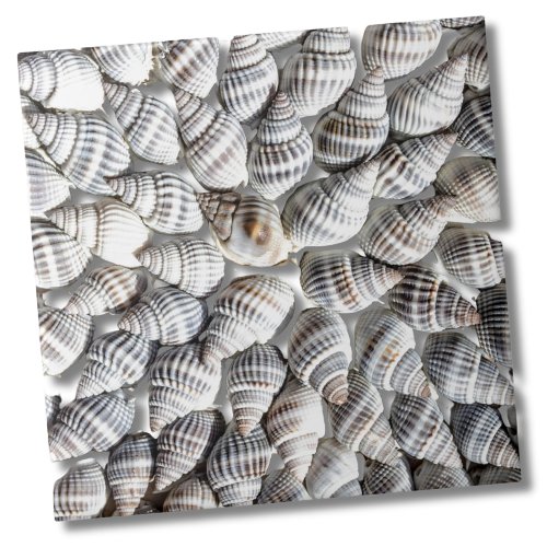 Coastal Ocean Sea Shell Pattern Ceramic Tile