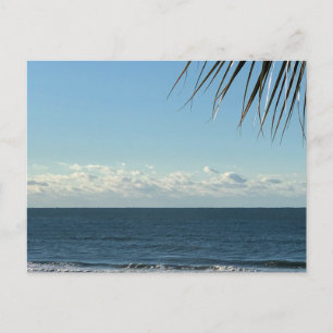 Coastal Palm Fronds & Ocean Waves Photography Postcard