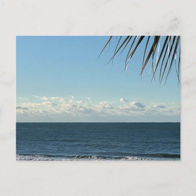 Coastal Palm Fronds & Ocean Waves Photography Postcard (Front)
