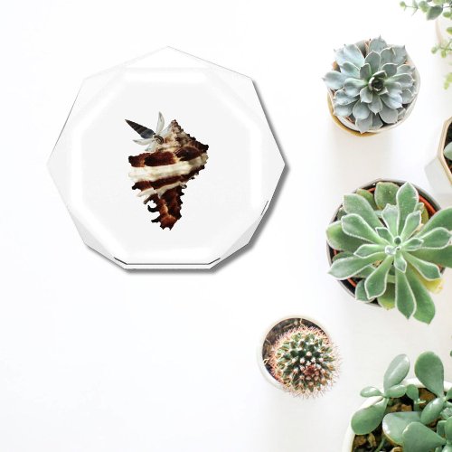 Coastal paperweight butterfly desk decor photo block