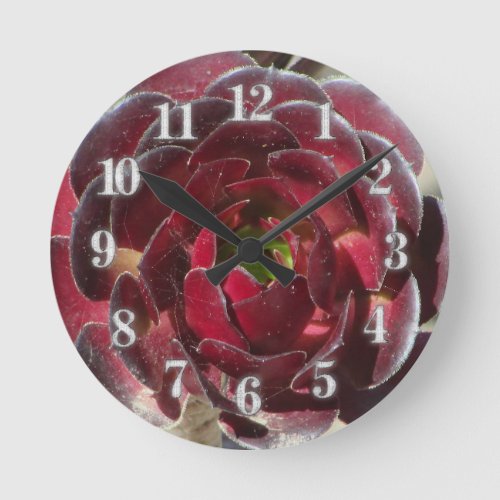 Coastal Plant Photo Red Burgundy Succulent  Round Clock