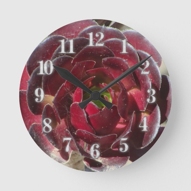 Coastal Plant Photo Red Burgundy Succulent  Round Clock (Front)