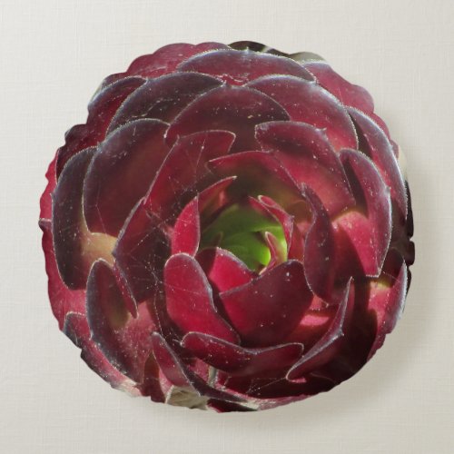 Coastal Plant Photo Red Burgundy Succulent  Round Pillow