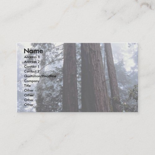 Coastal Redwoods, Lady Bird Johnson Grove, Califor Business Card Templates