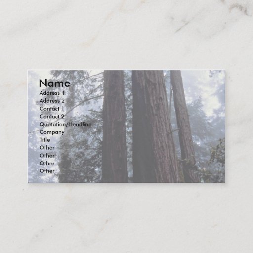 Customizable Coastal Redwoods, Lady Bird Johnson Grove, Califor Business Card Templates