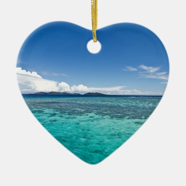 Coastal Reef, Fiji Ceramic Ornament (Front)