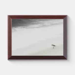 Coastal Sandpiper on the Beach Award Plaque