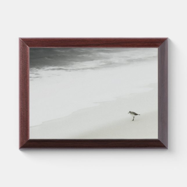 Coastal Sandpiper on the Beach Award Plaque (Horizontal)