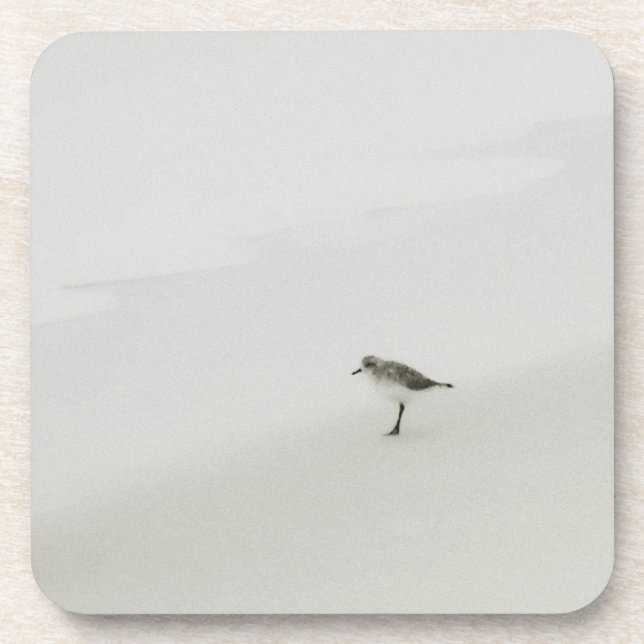 Coastal Sandpiper on the Beach Beverage Coaster (Front)