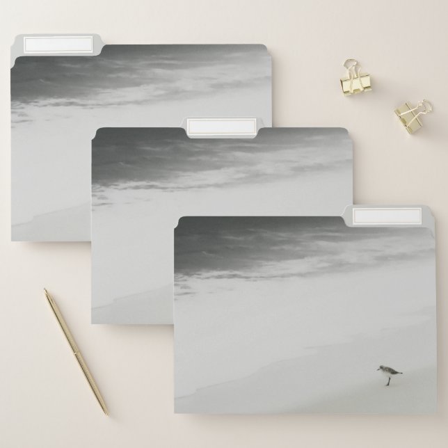 Coastal Sandpiper on the Beach File Folder (Set)