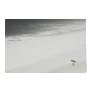 Coastal Sandpiper on the Beach Placemat