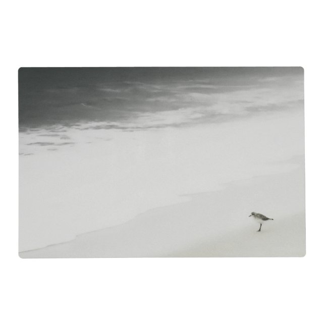 Coastal Sandpiper on the Beach Placemat (Front)