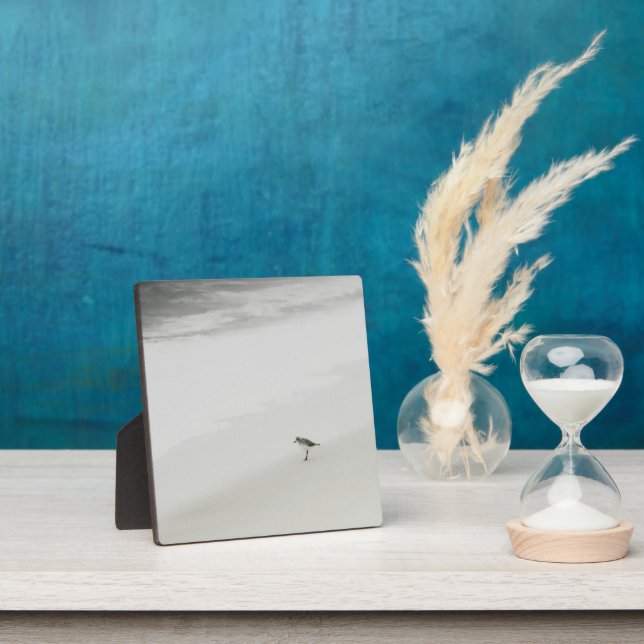Coastal Sandpiper on the Beach Plaque (Insitu)
