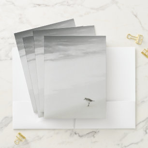 Coastal Sandpiper on the Beach Pocket Folder