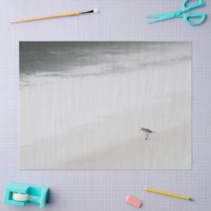 Coastal Sandpiper on the Beach Tissue Paper