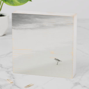 Coastal Sandpiper on the Beach Wooden Box Sign