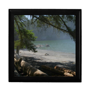 Coastal scene, misty beach, seashore, nature scene gift box