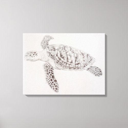 Coastal Sea Turtle Drawing Canvas Print