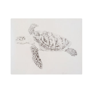 Coastal Sea Turtle Drawing Metal Print