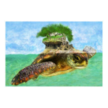 Coastal -Sea Turtle Island