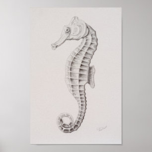Coastal Seahorse Drawing Poster