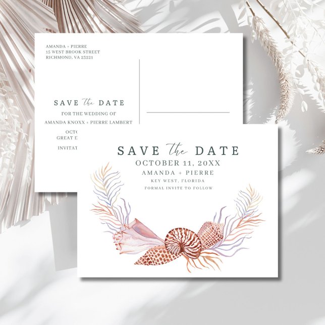 Coastal Seashell Beach Wedding Save the Date Announcement Postcard (Coastal Seashell Beach Wedding Save the Date Announcement Postcard)