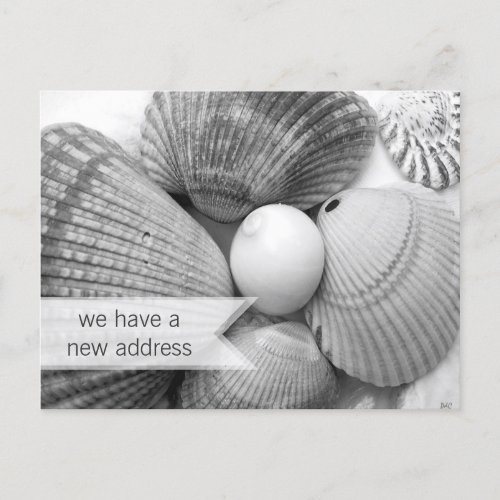 Coastal Seashells Black and White Moving Postcards