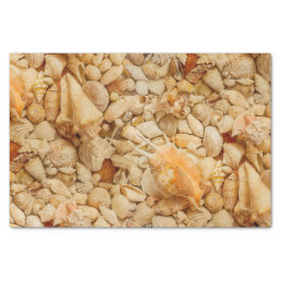Coastal Seashells Photo Tissue Paper