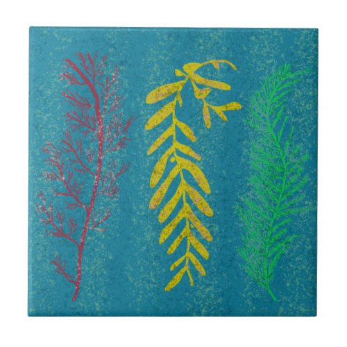 Coastal Seaweed  Ceramic Tile