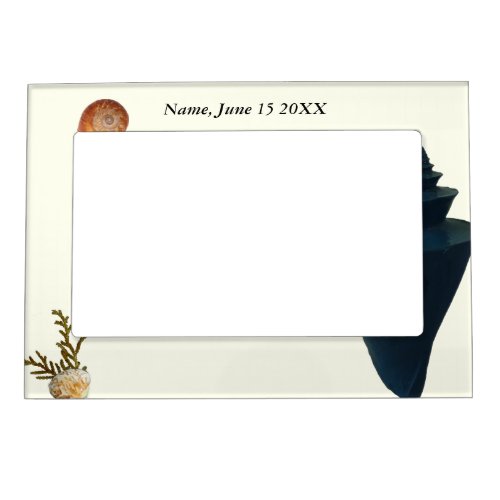 Coastal shells personalized baby name birth date magnetic frame