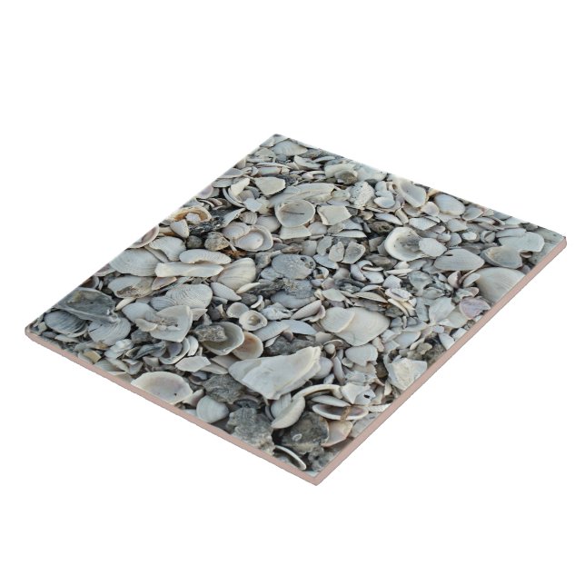 Coastal Shells Shore Tile (Side)