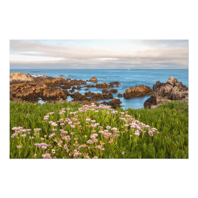 Coastal Spring Photo Print (Front)