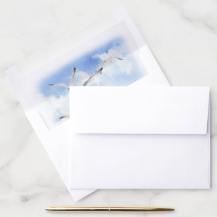 Coastal Standard Envelope Liner