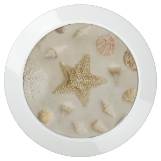 Coastal Starfish And Seashells Beach Photo Usb Charging Station