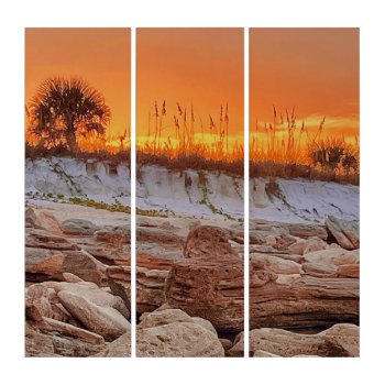 "coastal Sunset" Acrylic Triptych 3 Panel by Gigglesandgrins at Zazzle