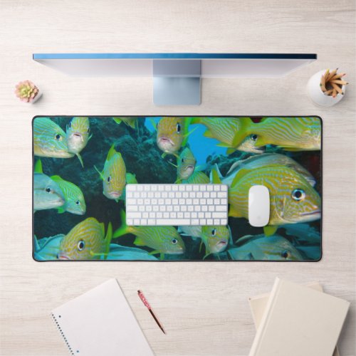 Coastal Underwater Fish Photography or Your Photo Desk Mat