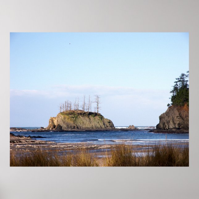 Coastal View Poster (Front)