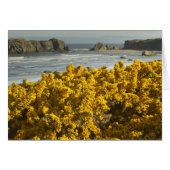 Coastal views, Bandon, Oregon (Front Horizontal)