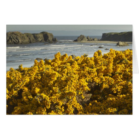 Coastal views, Bandon, Oregon (Front Horizontal)