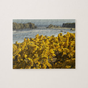 Coastal views, Bandon, Oregon Jigsaw Puzzle