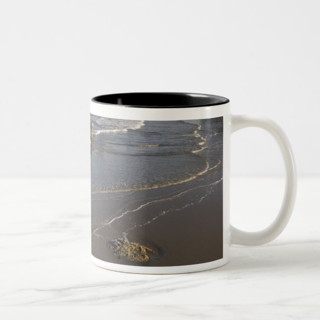 Coastal views, Bandon, Oregon Two-Tone Coffee Mug (Right)