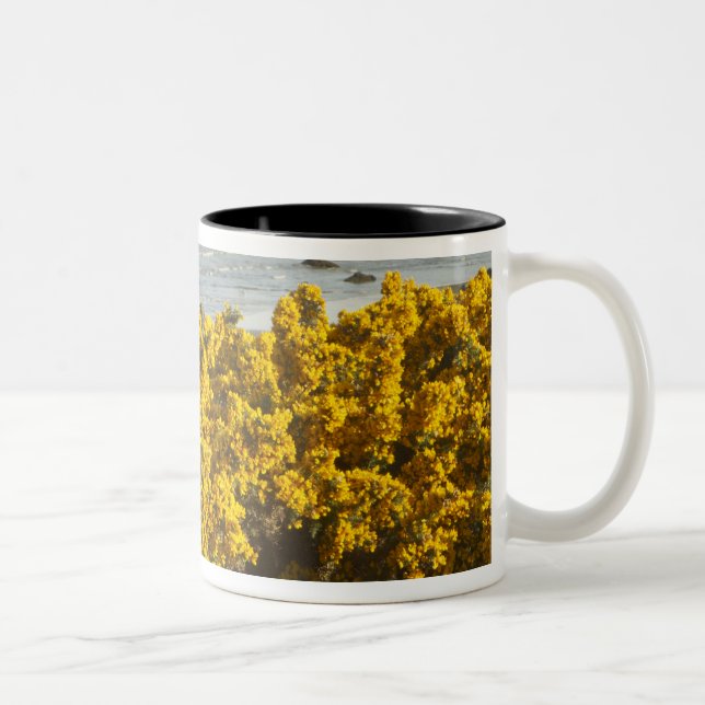 Coastal views, Bandon, Oregon Two-Tone Coffee Mug (Right)