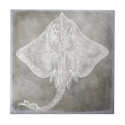 Coastal Watercolor Sting Ray Skate Pewter Neutral Ceramic Tile