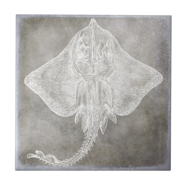 Coastal Watercolor Sting Ray Skate Pewter Neutral Ceramic Tile (Front)